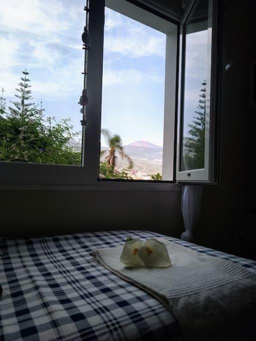 Apartamento Humboldt ,Island Paradise La Orotava Dış mekan fotoğraf